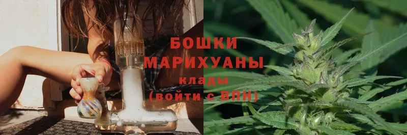 магазин  наркотиков  Оленегорск  Бошки Шишки OG Kush 